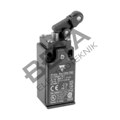 PS21L-NT20RV-T00