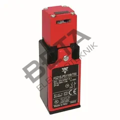 PS21S-PS0209-T00
